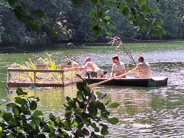 Schwimminselbau - Petri-Schutz-System am Sa, 04.07.2026 ab 08:00 Uhr